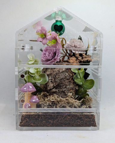 Cube / House Switch Enclosure Cube / House Switch Enclosure